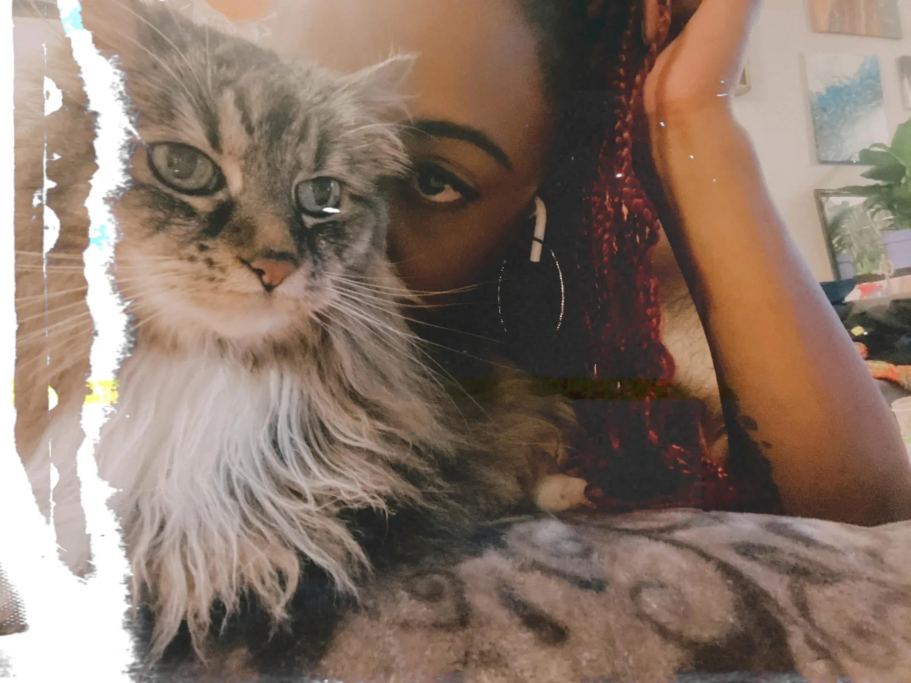 Paula at home with her cat